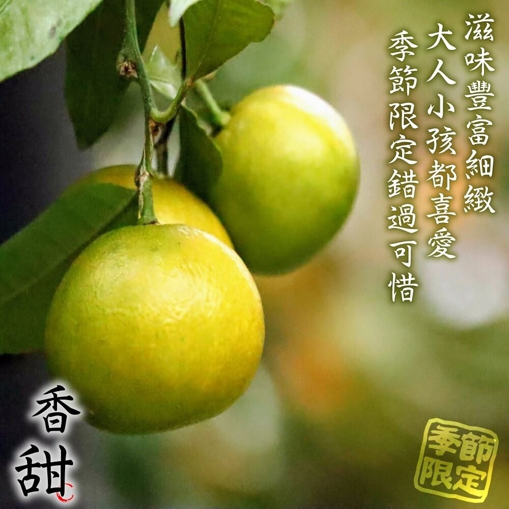 嚴選老欉雞蛋柳丁 0運費【果農直配】台灣柳丁 台灣雞蛋柳丁 雞蛋丁 老欉柳丁 柑橘-細節圖7