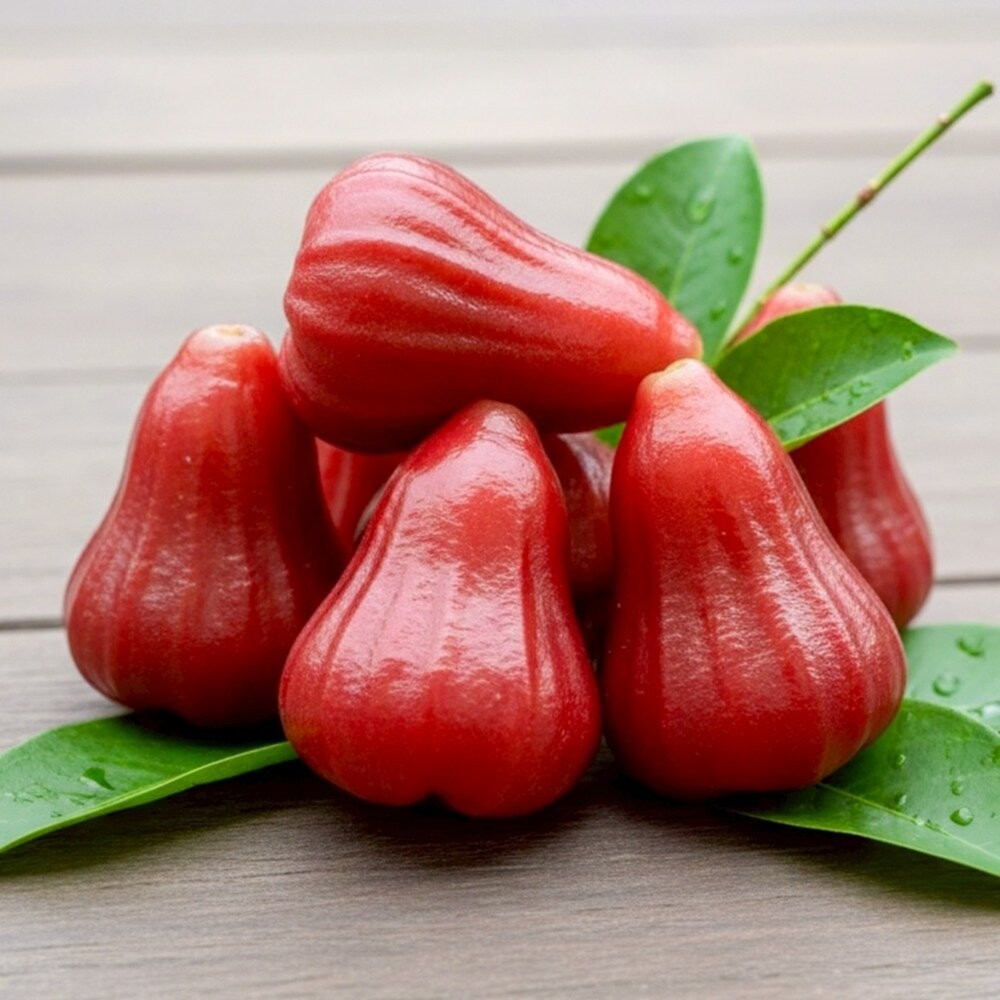 台灣蜜風鈴蓮霧 3斤±10%含盒/10-18入 0運費【果之蔬】-細節圖2