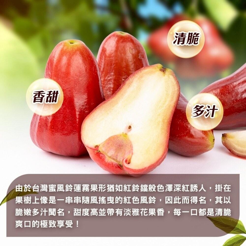 台灣蜜風鈴蓮霧 3斤±10%含盒/10-18入 0運費【果之蔬】-細節圖4