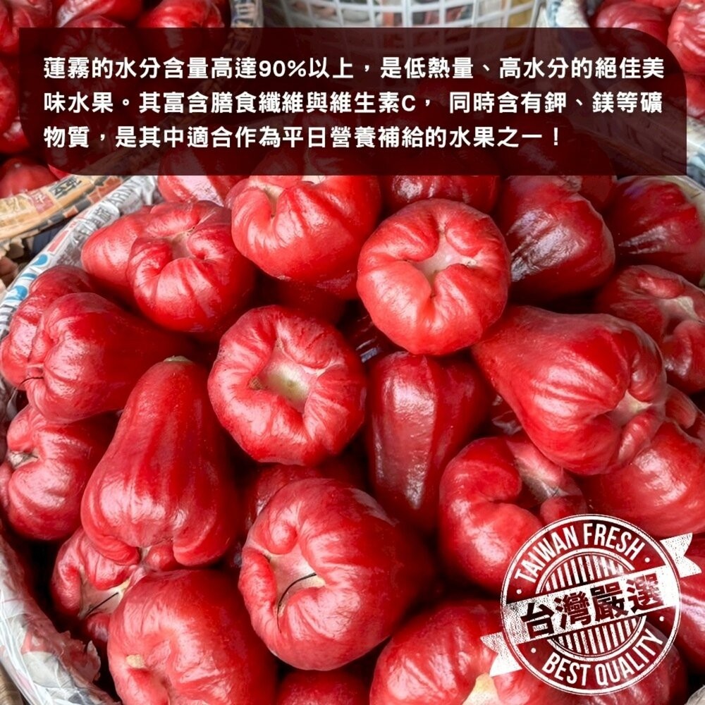 台灣蜜風鈴蓮霧 3斤±10%含盒/10-18入 0運費【果之蔬】-細節圖5