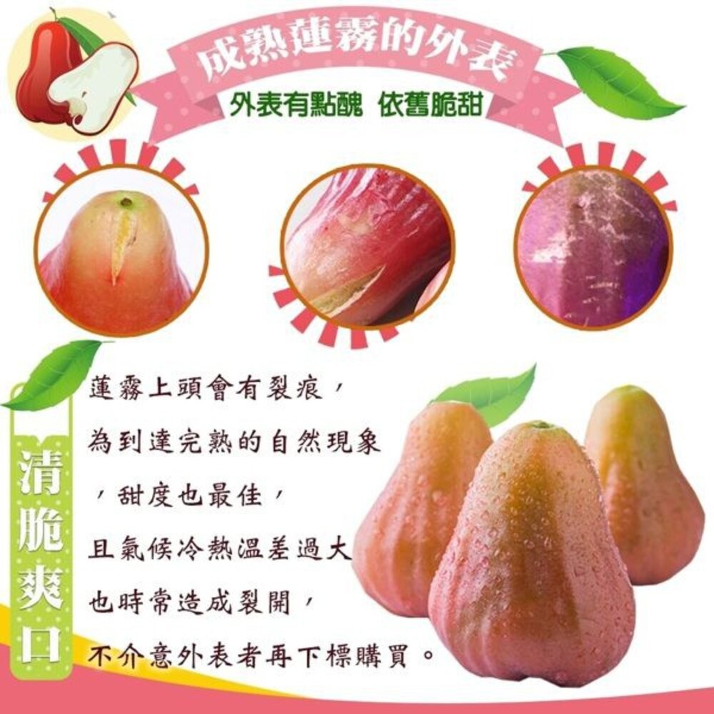 台灣蜜風鈴蓮霧 3斤±10%含盒/10-18入 0運費【果之蔬】-細節圖6