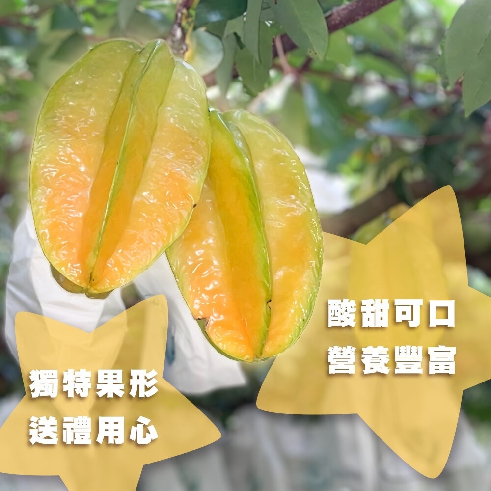 台灣嚴選牛奶楊桃 4.5斤±10%【果農直配】0運費-細節圖4