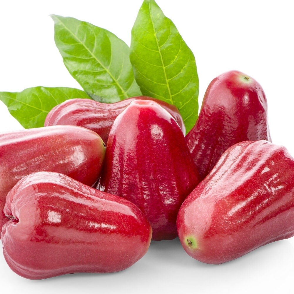 屏東林邊草生栽植砲彈蓮霧 0運費【果之蔬】台灣蓮霧 屏東蓮霧 林邊蓮霧 台灣水果-細節圖2