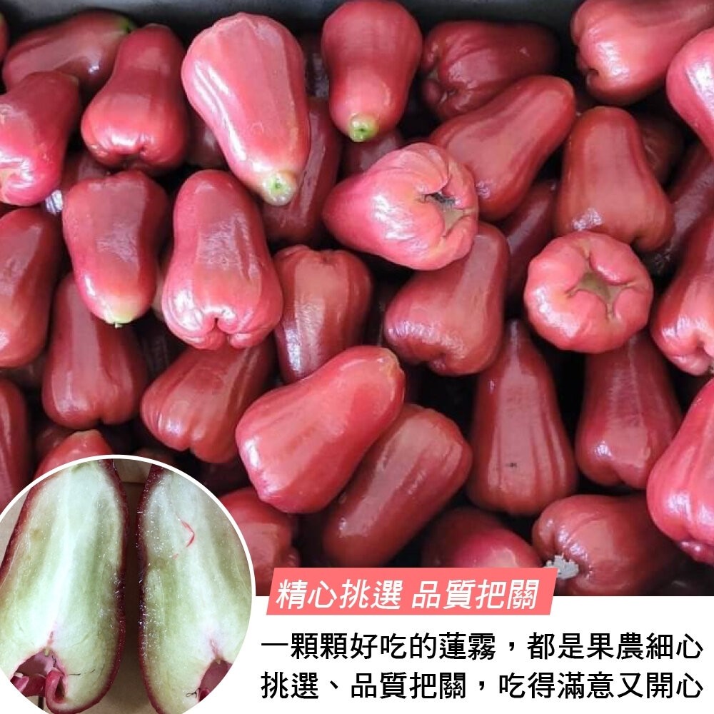 屏東林邊草生栽植砲彈蓮霧 0運費【果之蔬】台灣蓮霧 屏東蓮霧 林邊蓮霧 台灣水果-細節圖4