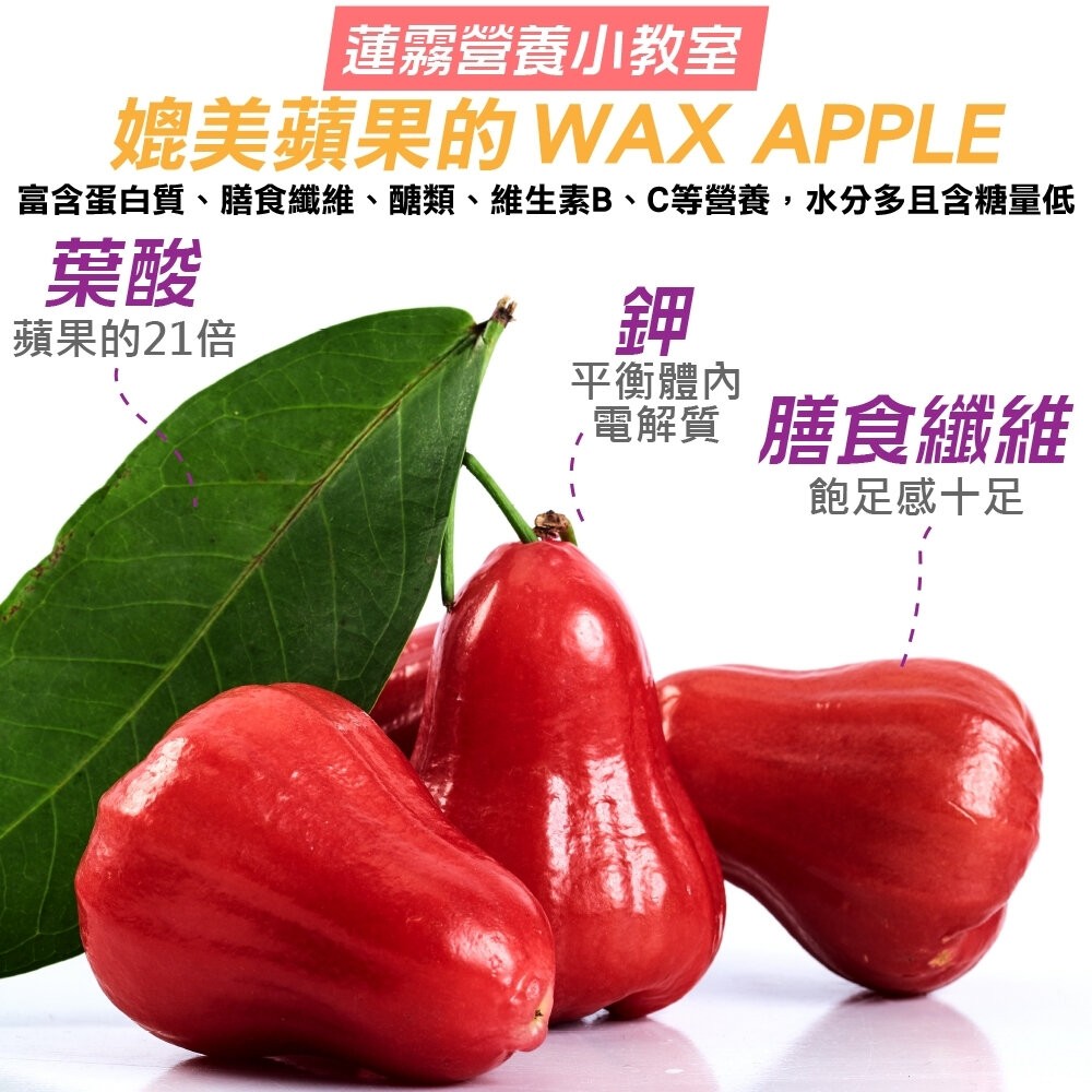 屏東林邊草生栽植砲彈蓮霧 0運費【果之蔬】台灣蓮霧 屏東蓮霧 林邊蓮霧 台灣水果-細節圖6