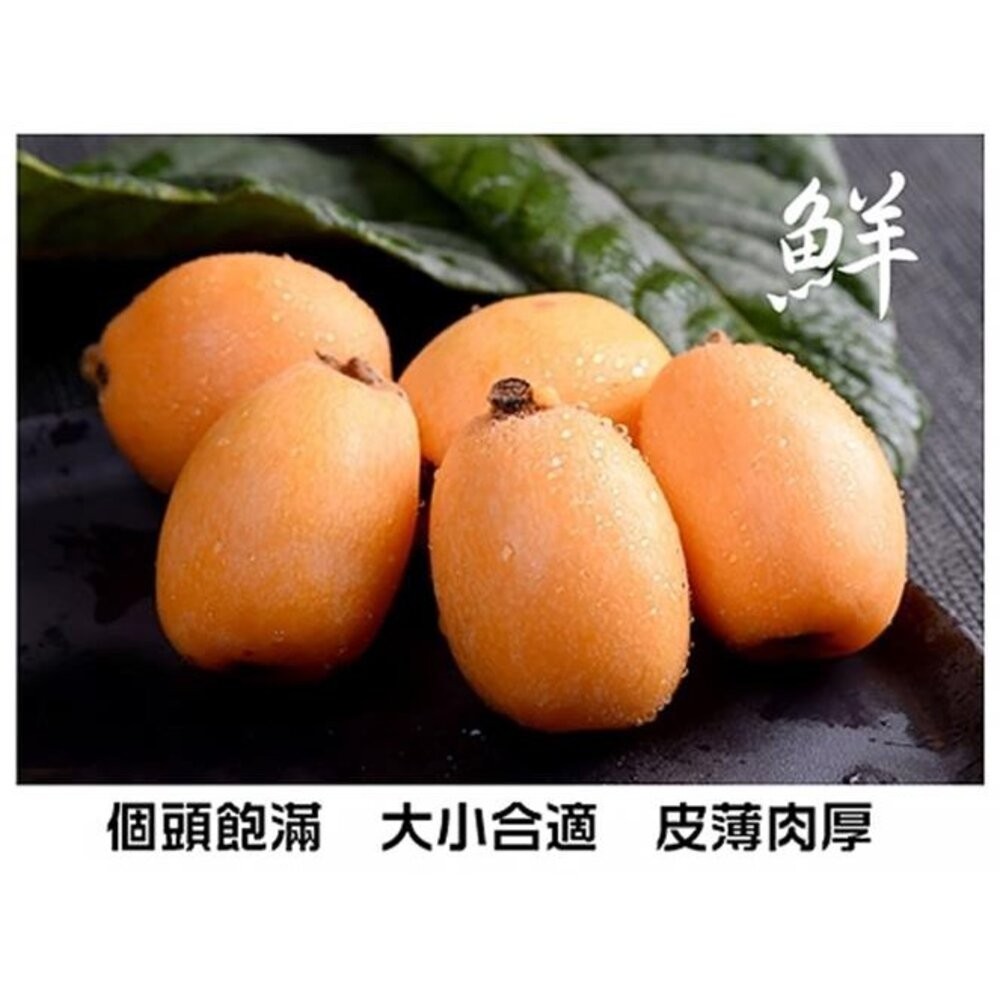 台灣頂級枇杷禮盒(每盒500g±10%含盒) 0運費【果之蔬】台灣枇杷 台灣水果-細節圖4