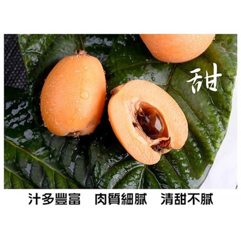 台灣頂級枇杷禮盒(每盒500g±10%含盒) 0運費【果之蔬】台灣枇杷 台灣水果-細節圖5