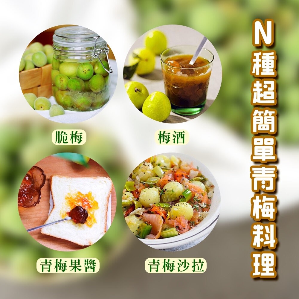台灣南投信義鄉青梅 0運費【果之蔬】台灣青梅-細節圖5