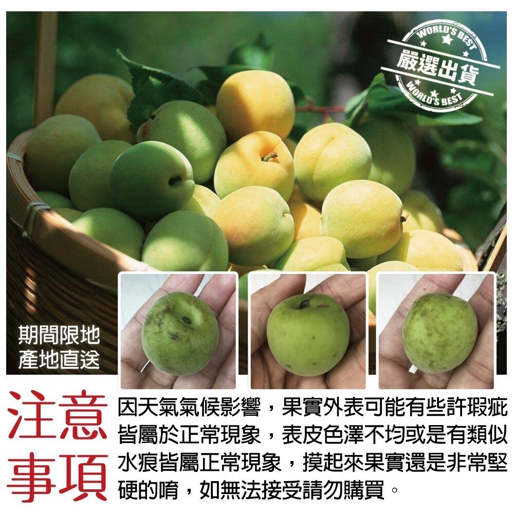 台灣南投信義鄉青梅 0運費【果之蔬】台灣青梅-細節圖6