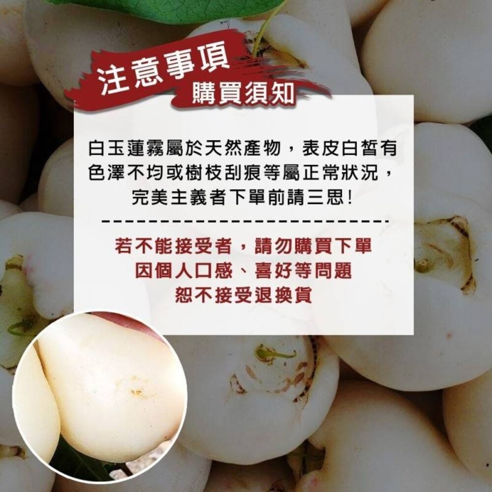 屏東林邊貴妃白玉蓮霧3.5斤±10%含盒 0運費【果農直配】蓮霧 白蓮霧 白色蓮霧 貴妃蓮霧 屏東蓮霧-細節圖6