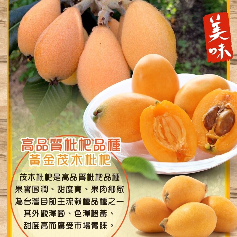 台灣黃金茂木枇杷(每盒400g±10%含盒) 0運費【果農直配】台灣枇杷 台灣水果-細節圖2