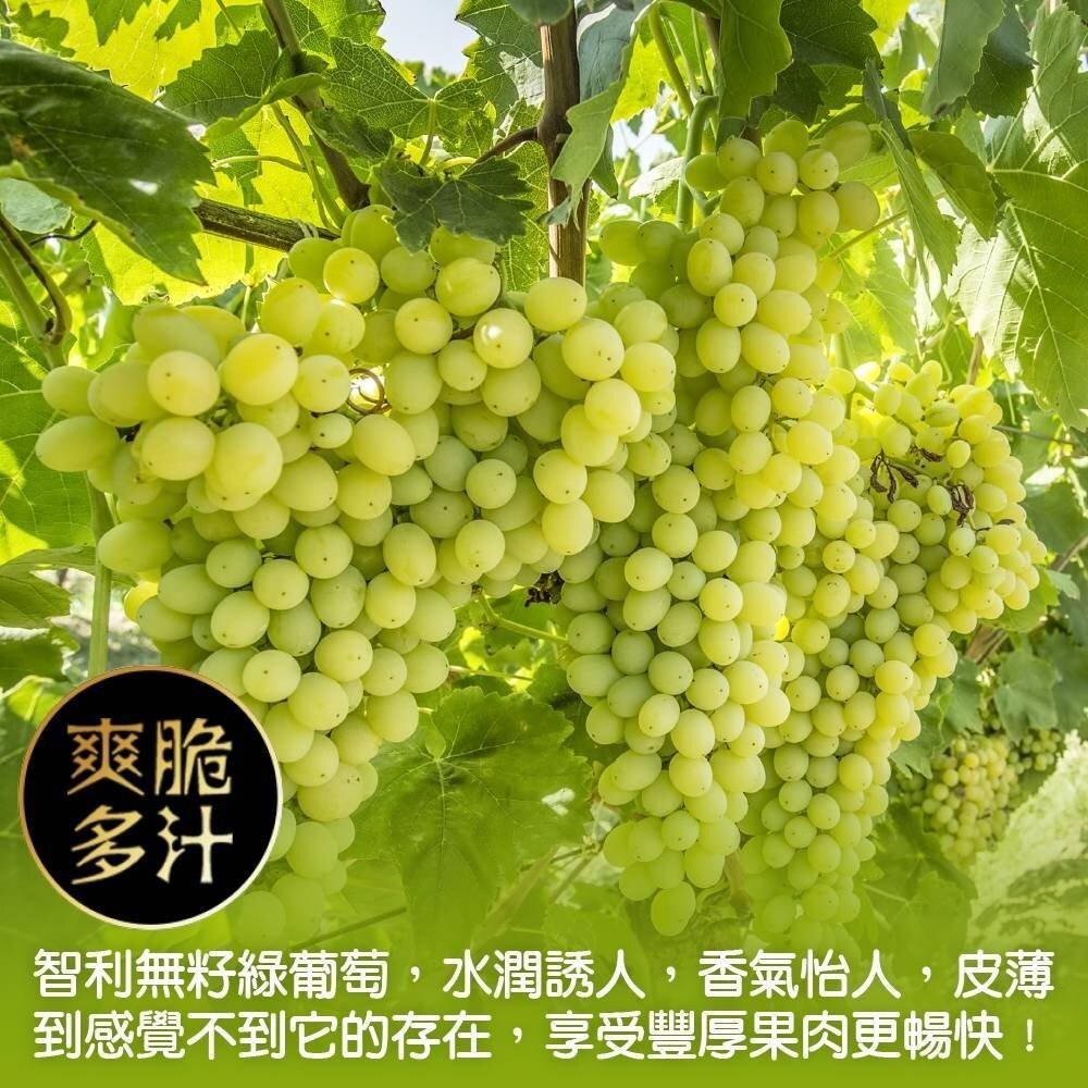 智利空運綠無籽葡萄 0運費【果之蔬】智利葡萄 智利綠葡萄 進口葡萄 進口綠葡萄 無籽綠葡萄-細節圖2