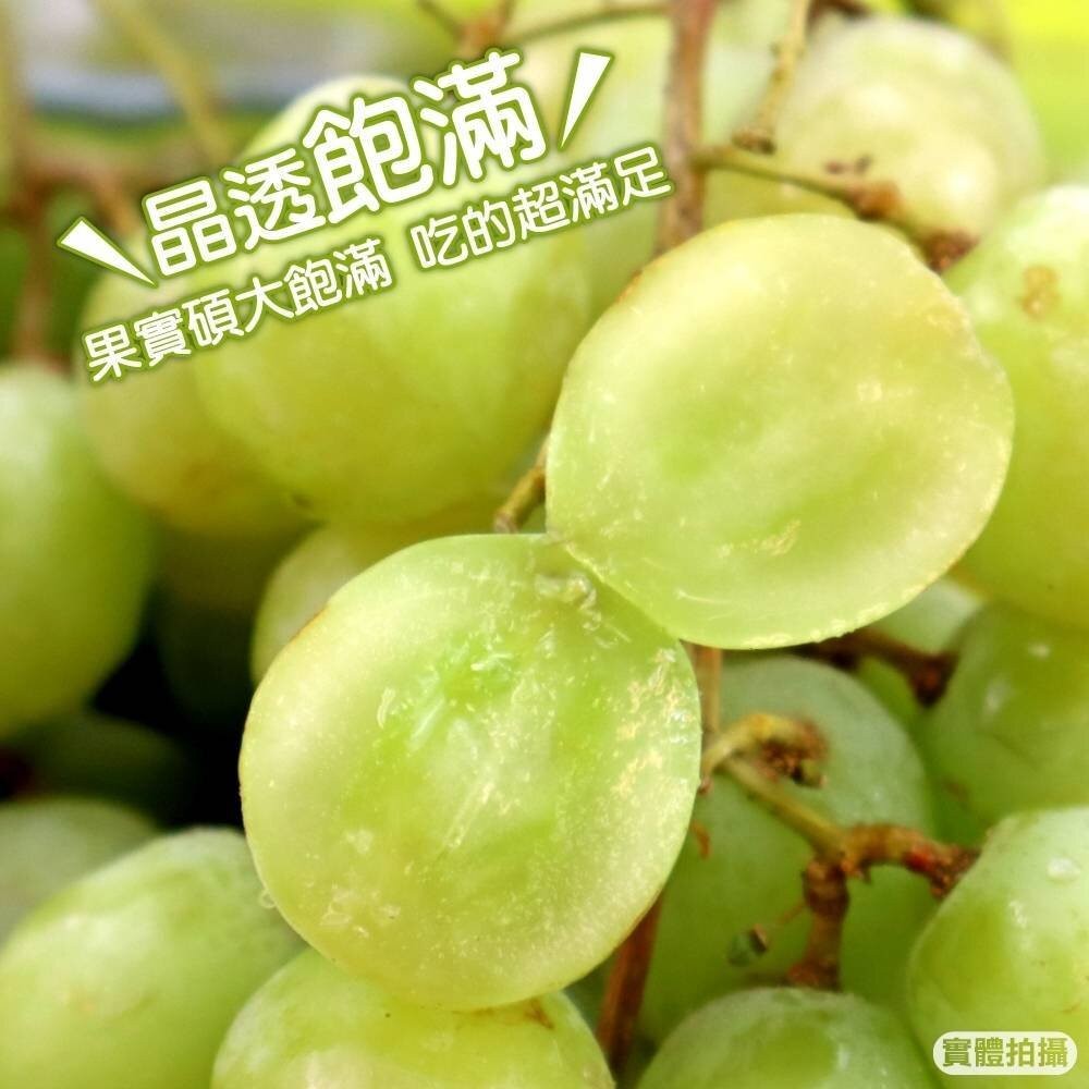 智利空運綠無籽葡萄 0運費【果之蔬】智利葡萄 智利綠葡萄 進口葡萄 進口綠葡萄 無籽綠葡萄-細節圖4