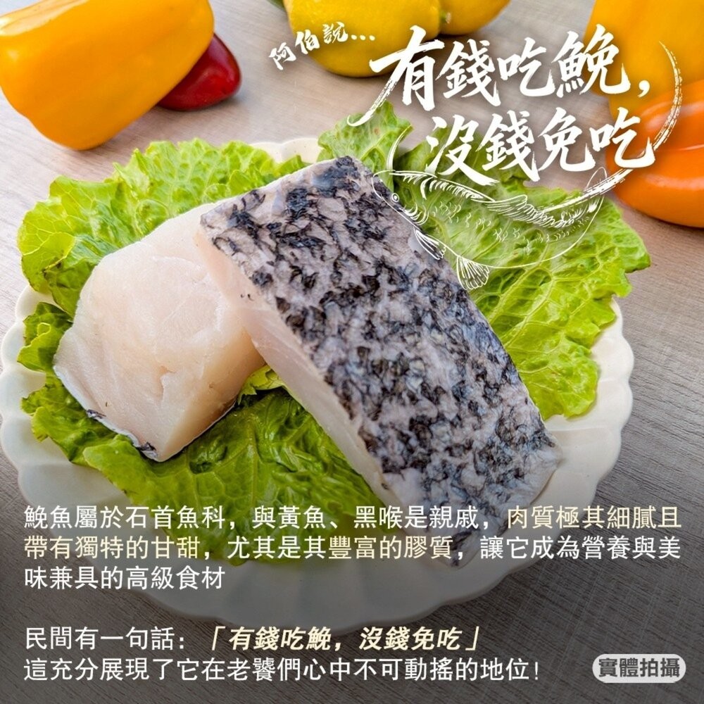 鮮凍鮸魚排大片(每片250-300g)【天天鮮配】滿額免運 免魚 白肉魚 米魚 鮸仔魚 鰵魚-細節圖3