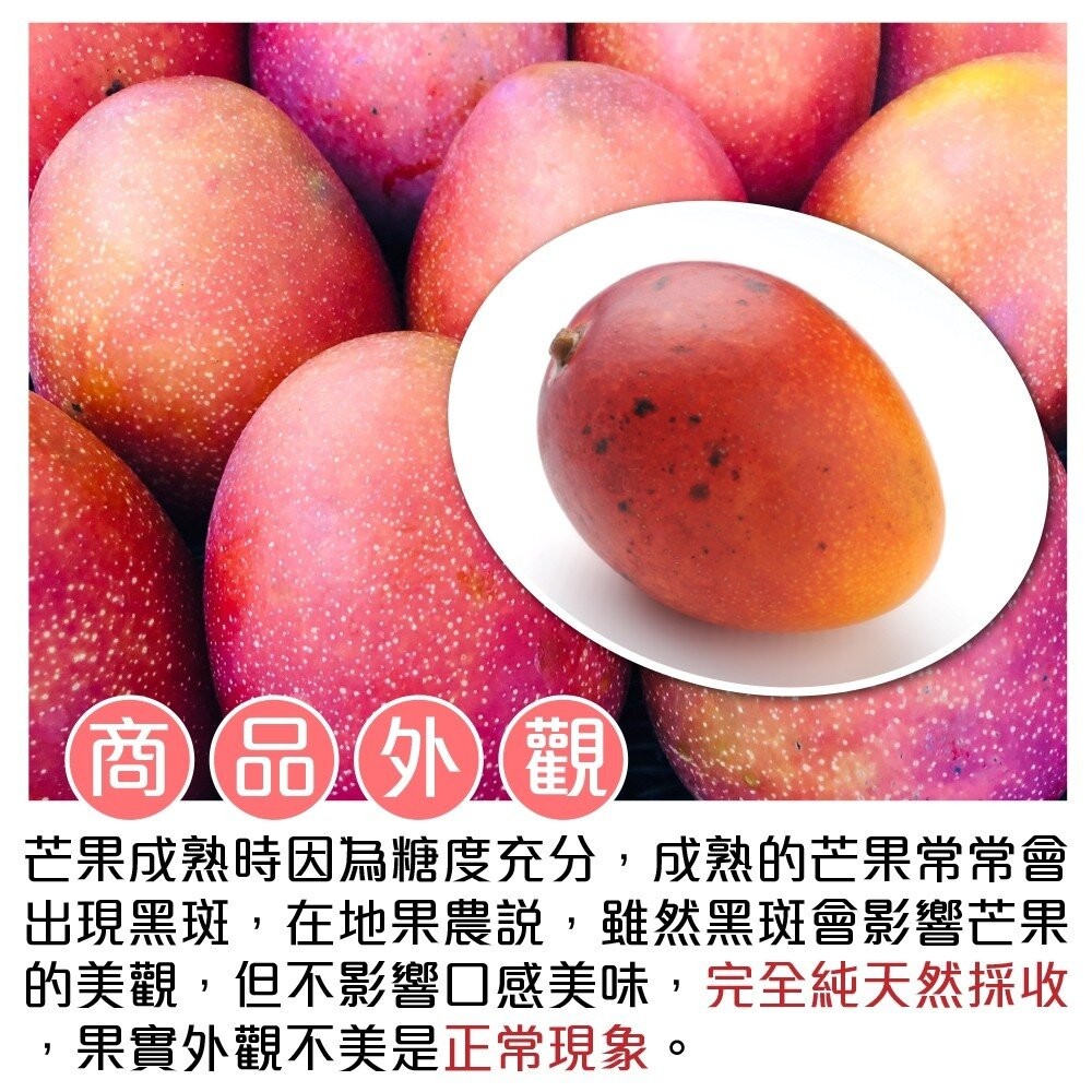 嚴選屏東愛文芒果 0運費【果之蔬】芒果 台灣愛文-細節圖6