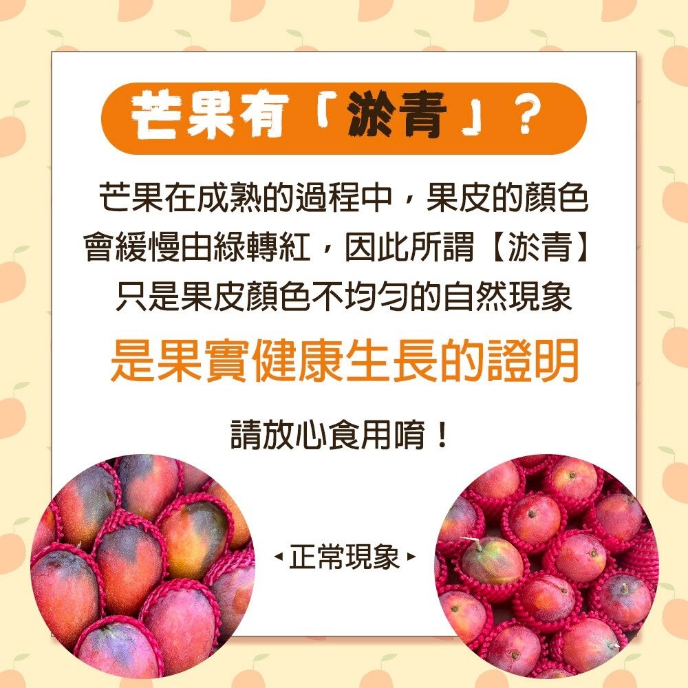 嚴選屏東愛文芒果 0運費【果之蔬】芒果 台灣愛文-細節圖11