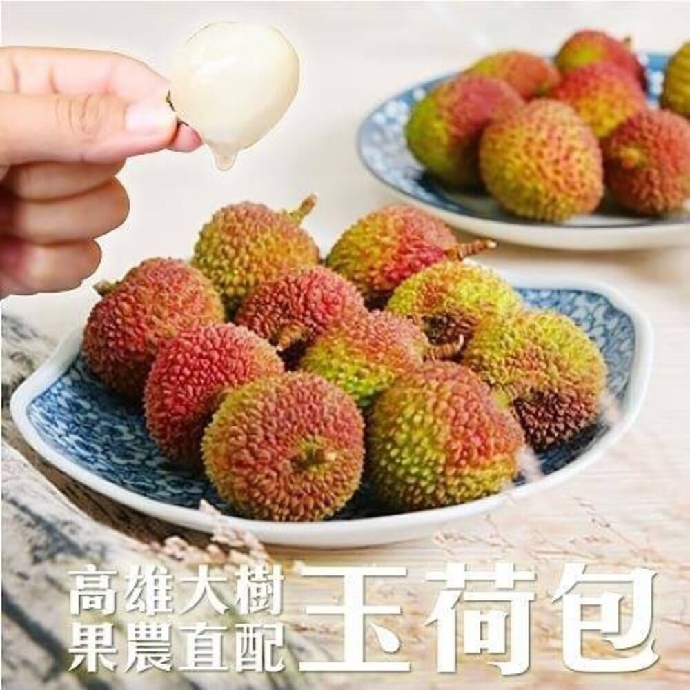 36mm+大樹爆汁玉荷包5斤禮盒(去枝去葉)粒裝 0運費【果農直配】荔枝-細節圖4