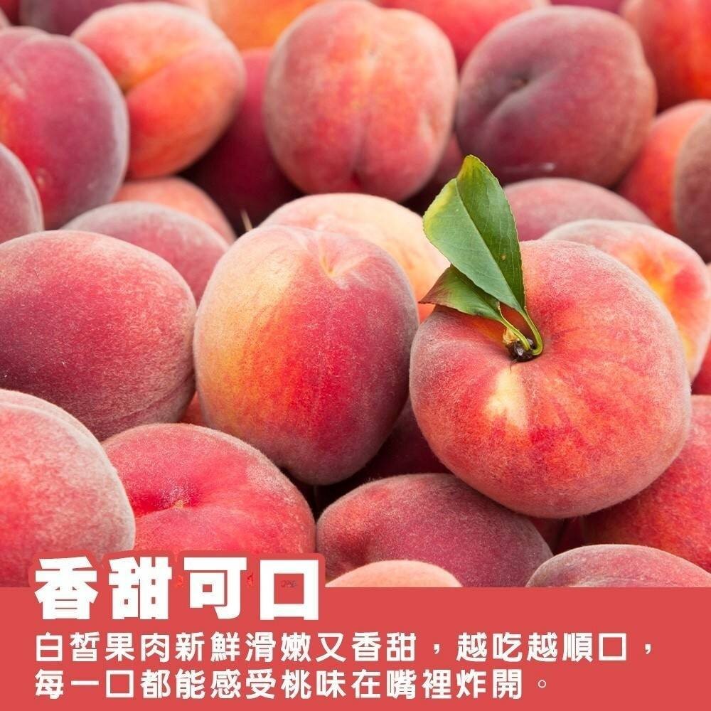 卡拉部落拉拉山水蜜桃禮盒(每盒1.2-1.4kg) 0運費 【果農直配】-細節圖5