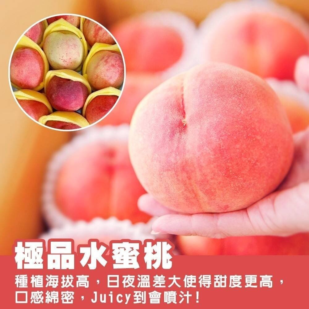 卡拉部落拉拉山水蜜桃禮盒(每盒1.2-1.4kg) 0運費 【果農直配】-細節圖6