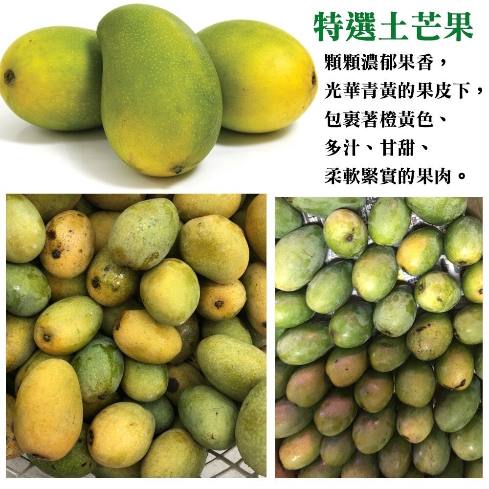 台灣鮮採土芒果 0運費【果之蔬】-細節圖6