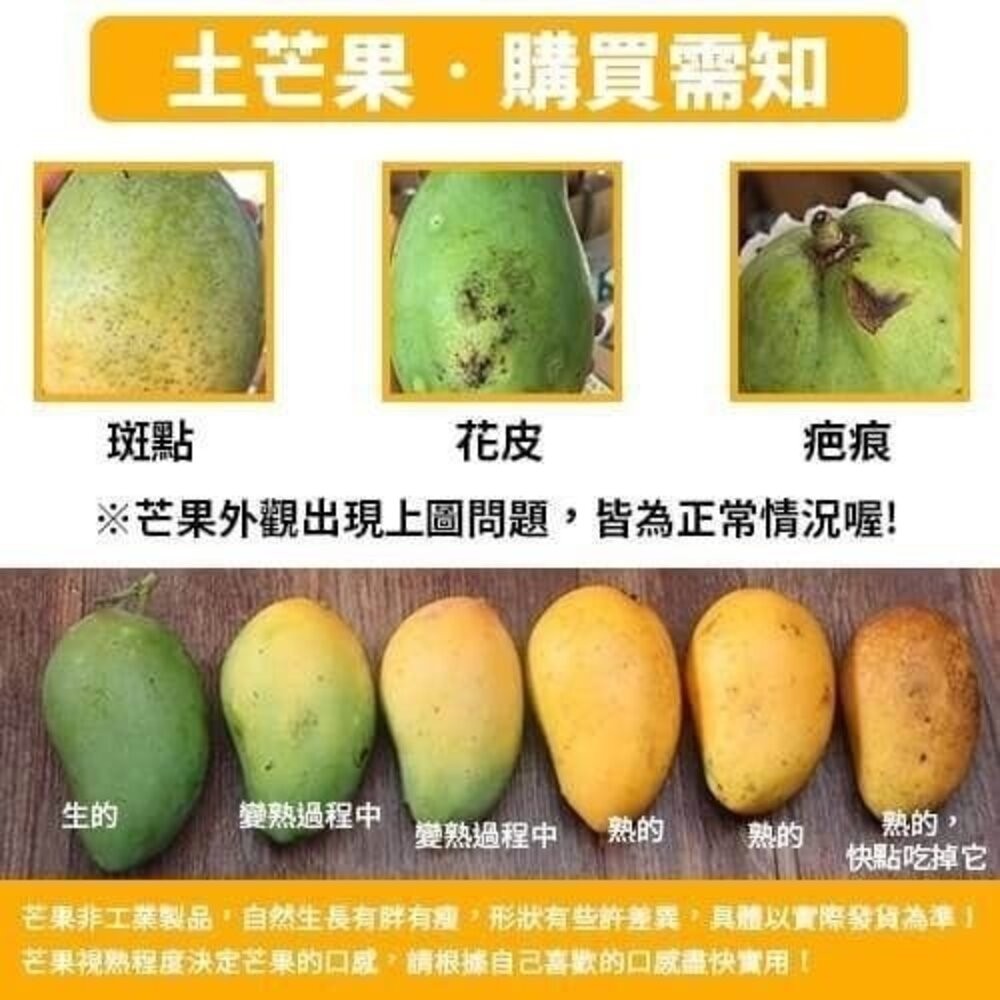 台灣鮮採土芒果 0運費【果之蔬】-細節圖7