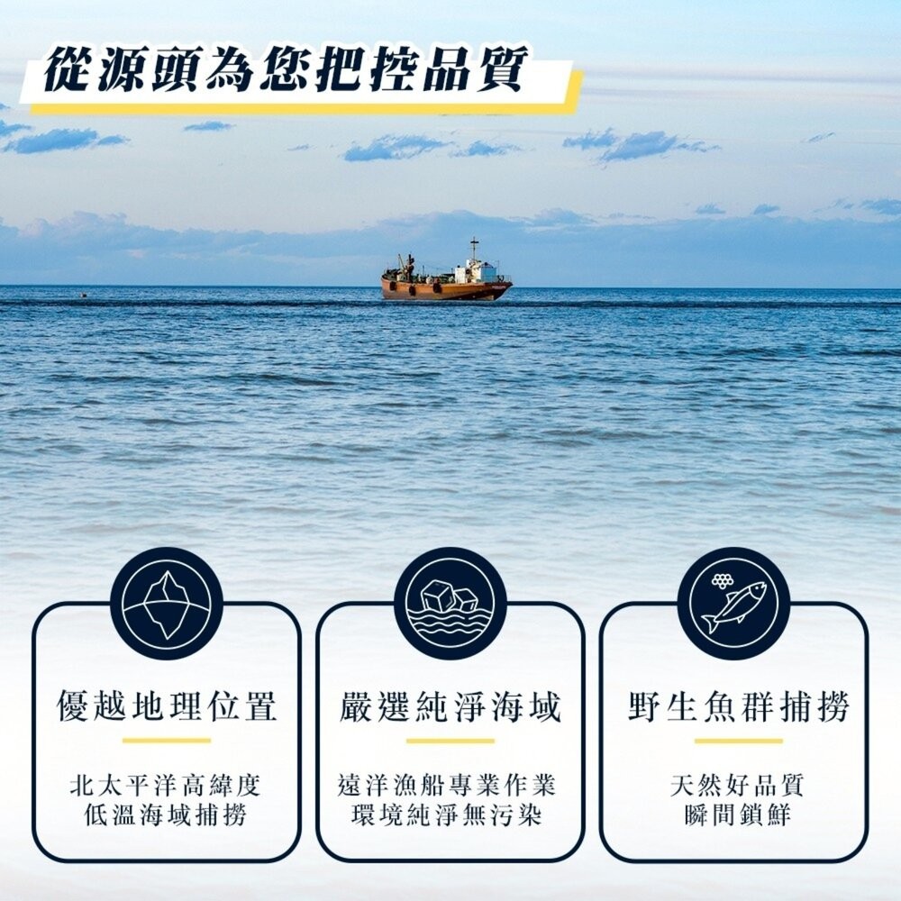 台灣野生秋刀魚(每包3尾/440g±10%)【海陸管家】滿額免運-細節圖3