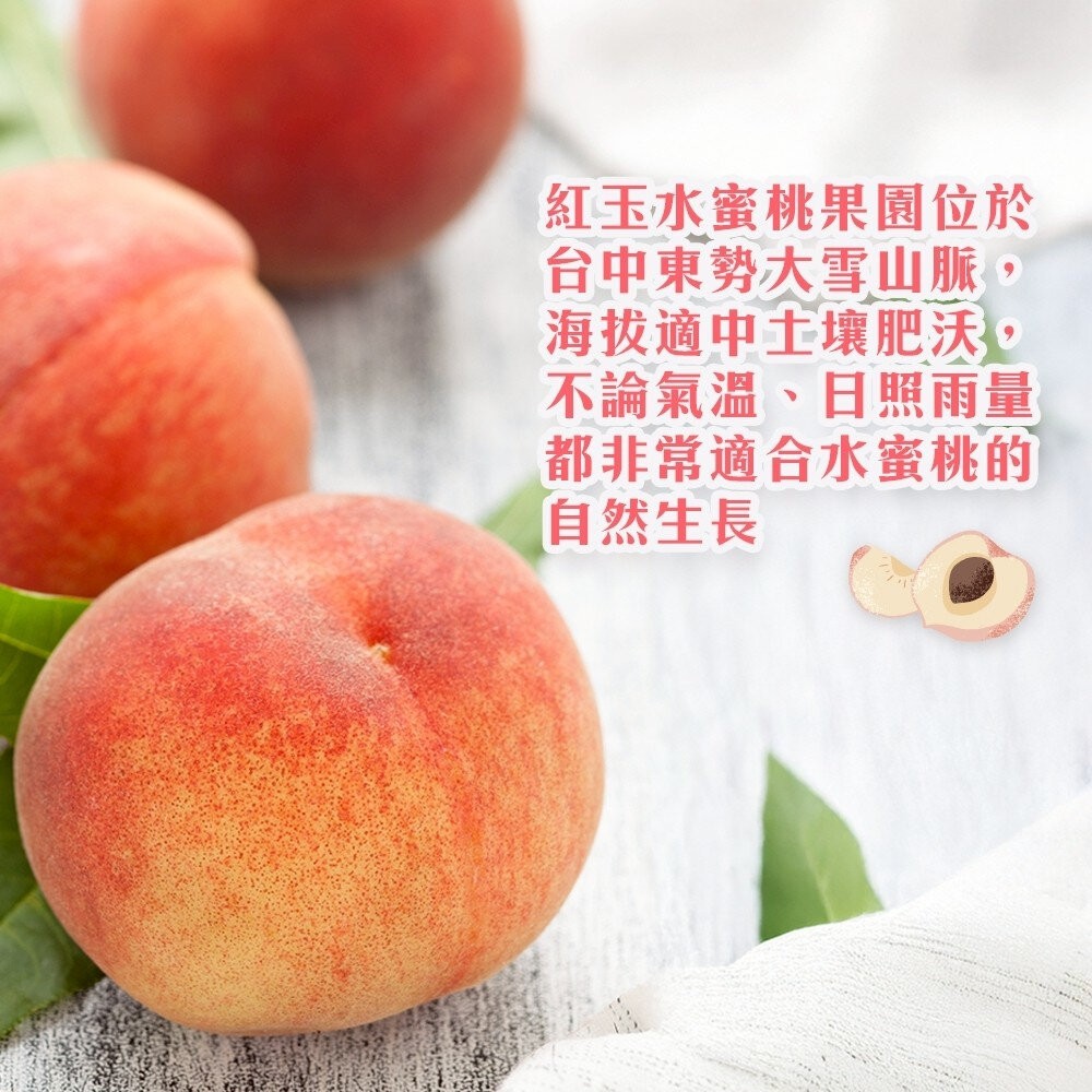 台中大雪山脈紅玉水蜜桃禮盒 0運費【果農直配】台灣水蜜桃 雪山紅玉 雪山水蜜桃-細節圖3