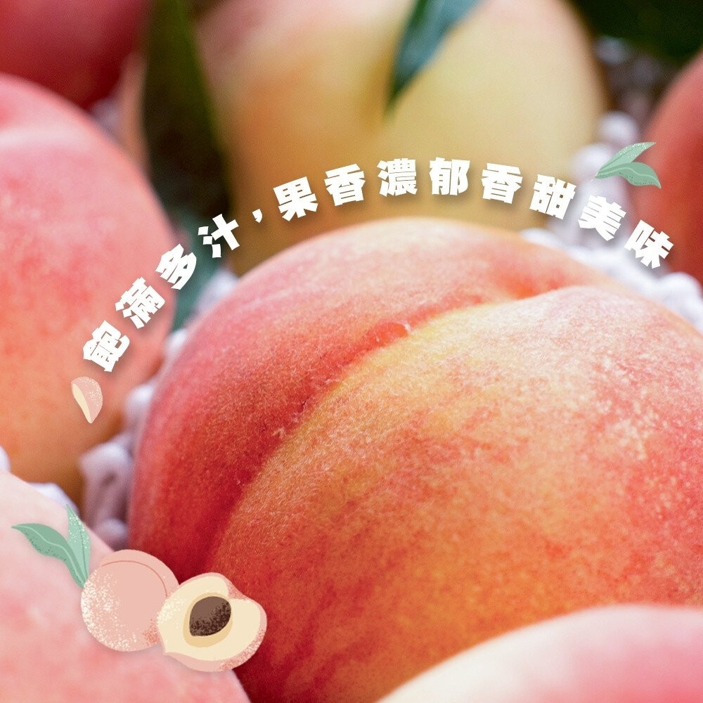 台中大雪山脈紅玉水蜜桃禮盒 0運費【果農直配】台灣水蜜桃 雪山紅玉 雪山水蜜桃-細節圖5