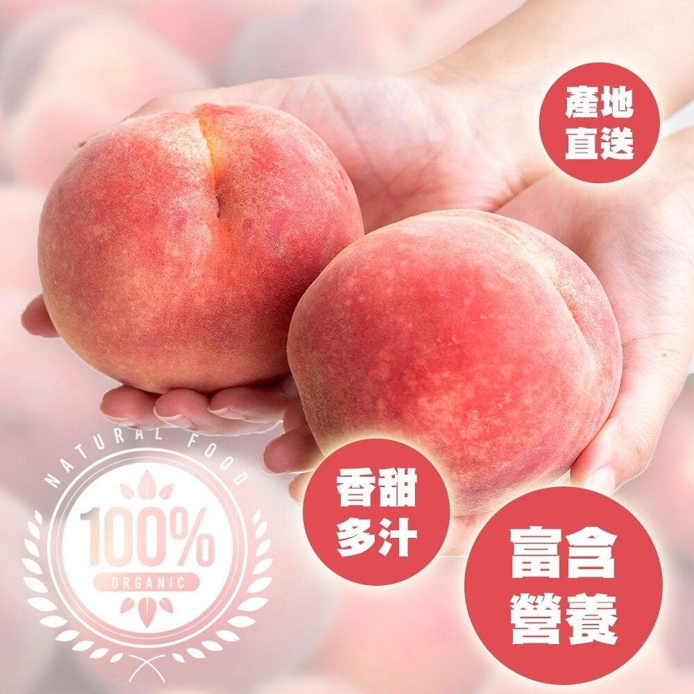 台中大雪山脈紅玉水蜜桃禮盒 0運費【果農直配】台灣水蜜桃 雪山紅玉 雪山水蜜桃-細節圖6