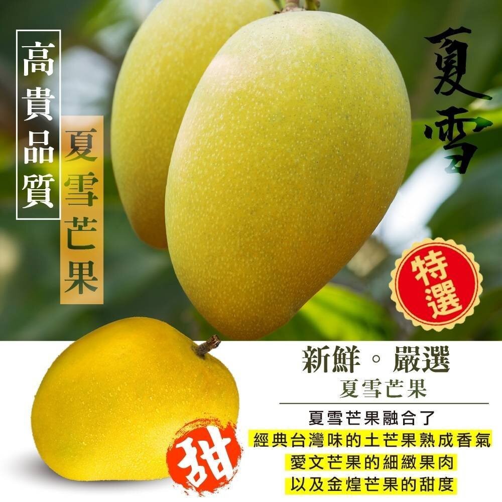 芒果界LV-A級夏雪芒果禮盒2.5kg±10%含箱 0運費【果農直配】-細節圖3
