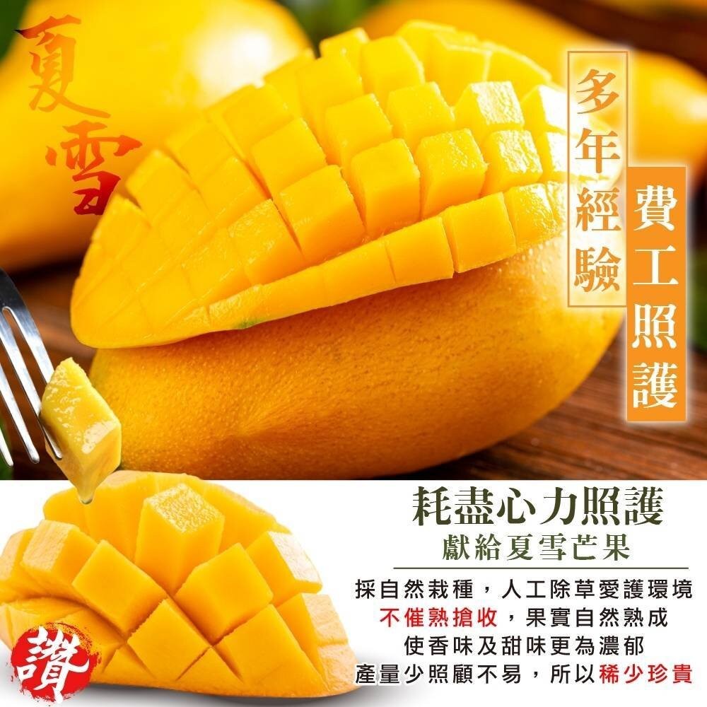 芒果界LV-A級夏雪芒果禮盒2.5kg±10%含箱 0運費【果農直配】-細節圖4