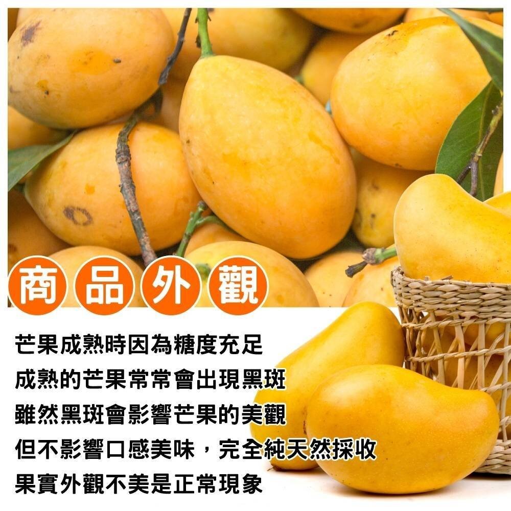 芒果界LV-A級夏雪芒果禮盒2.5kg±10%含箱 0運費【果農直配】-細節圖6