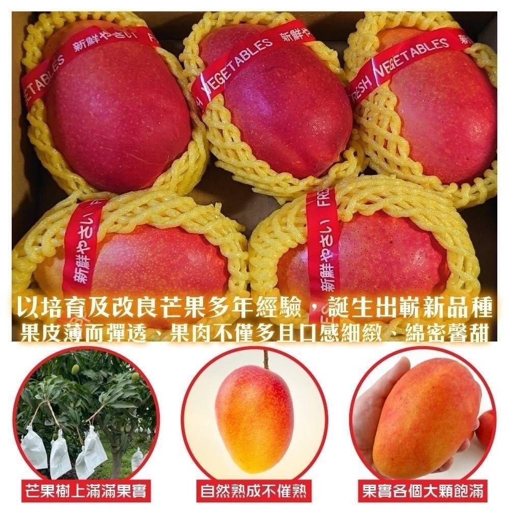 愛馬仕雙拼台東夏雪+蜜雪芒果合裝盒2.5kg±10%含盒 0運費【果農直配】夏雪芒果 蜜雪芒果 芒果禮盒-細節圖3