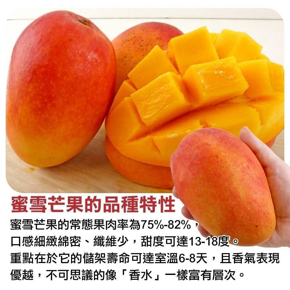 愛馬仕雙拼台東夏雪+蜜雪芒果合裝盒2.5kg±10%含盒 0運費【果農直配】夏雪芒果 蜜雪芒果 芒果禮盒-細節圖5