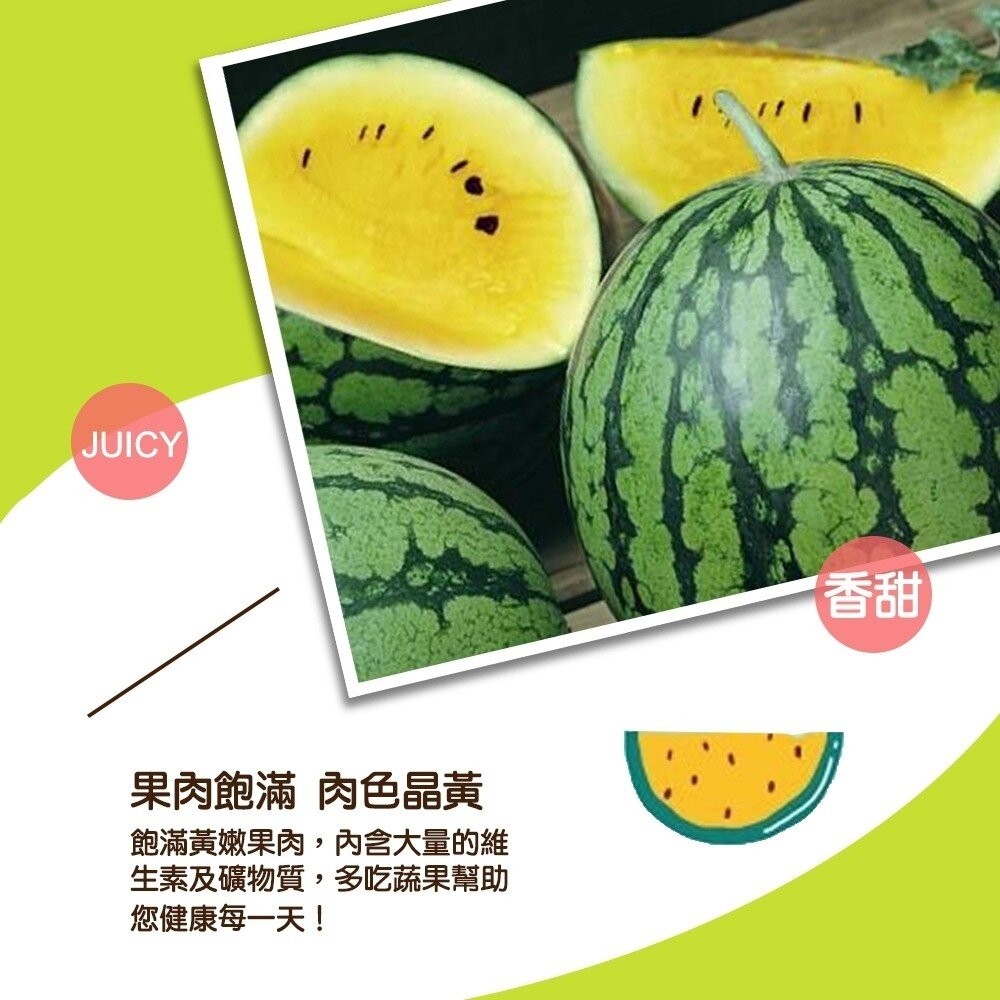 台灣嚴選黃肉小玉西瓜(每顆2.5-3kg) 0運費【天天鮮配】黃肉西瓜 小玉黃西瓜 黃小玉西瓜 黃果肉 黃色西瓜-細節圖4