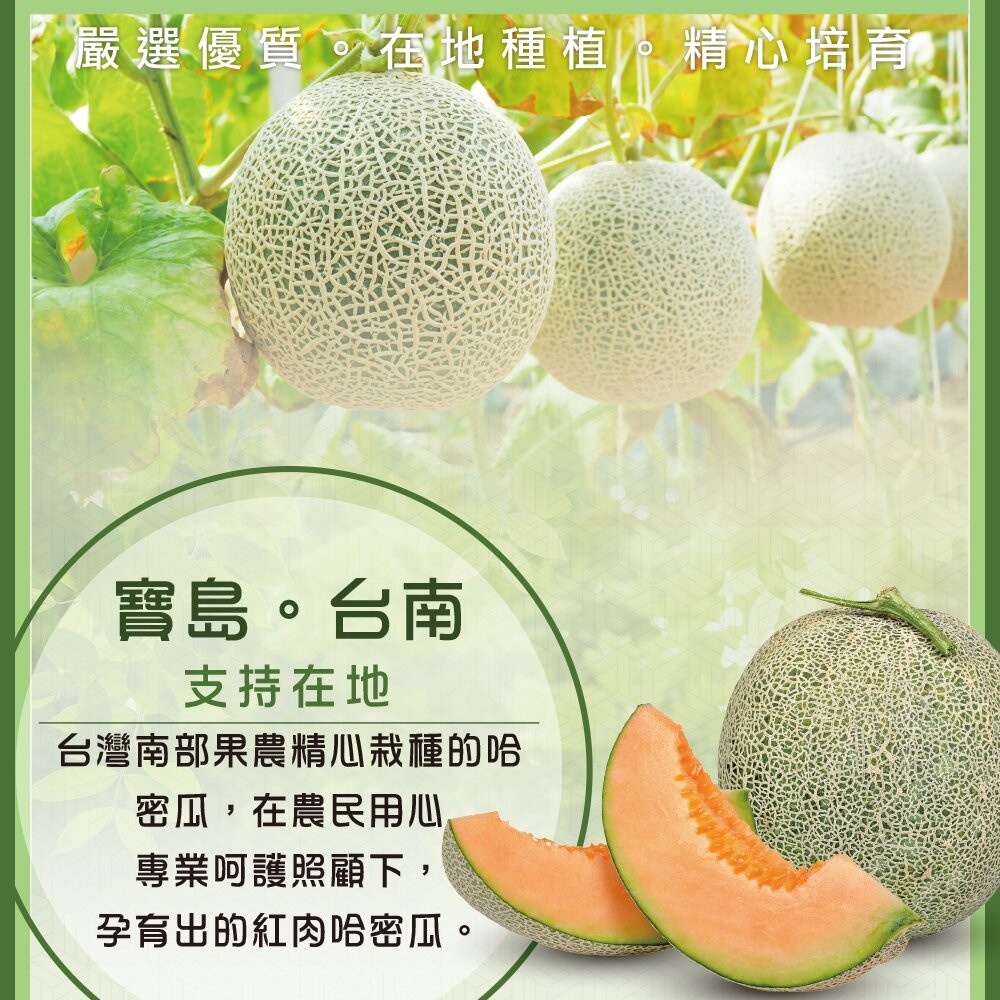 台灣七股紅肉哈密瓜 0運費【果之蔬】哈蜜瓜 紅肉哈蜜瓜 紅哈密瓜 紅哈蜜瓜 台灣哈密瓜 台灣哈蜜瓜-細節圖2