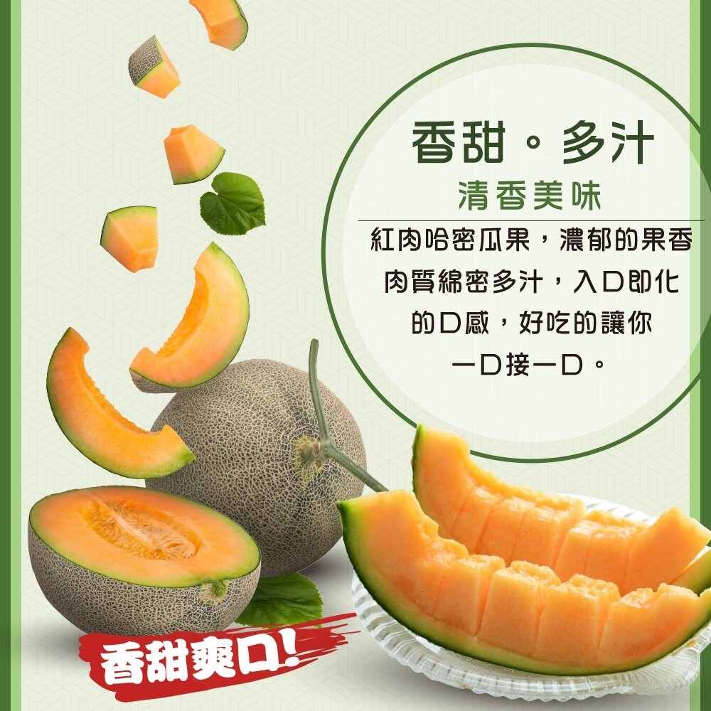 台灣七股紅肉哈密瓜 0運費【果之蔬】哈蜜瓜 紅肉哈蜜瓜 紅哈密瓜 紅哈蜜瓜 台灣哈密瓜 台灣哈蜜瓜-細節圖3