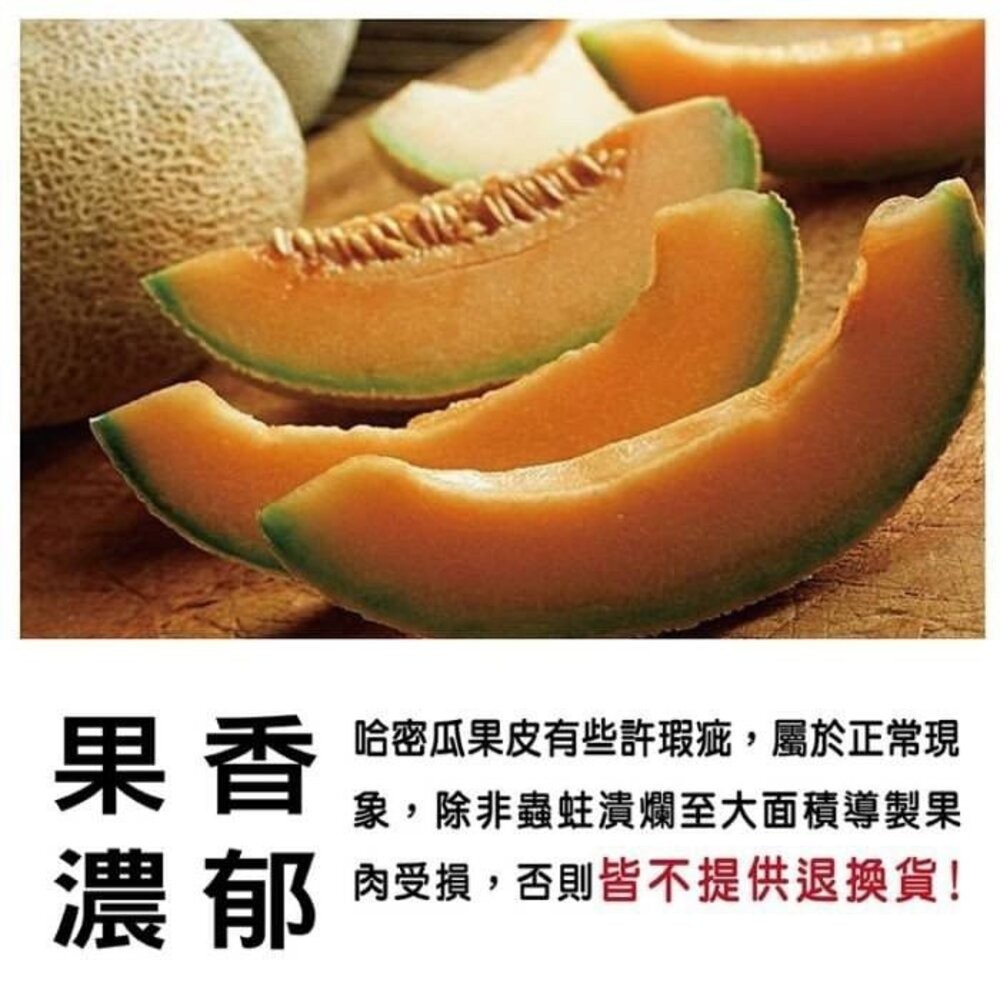 台灣七股紅肉哈密瓜 0運費【果之蔬】哈蜜瓜 紅肉哈蜜瓜 紅哈密瓜 紅哈蜜瓜 台灣哈密瓜 台灣哈蜜瓜-細節圖5