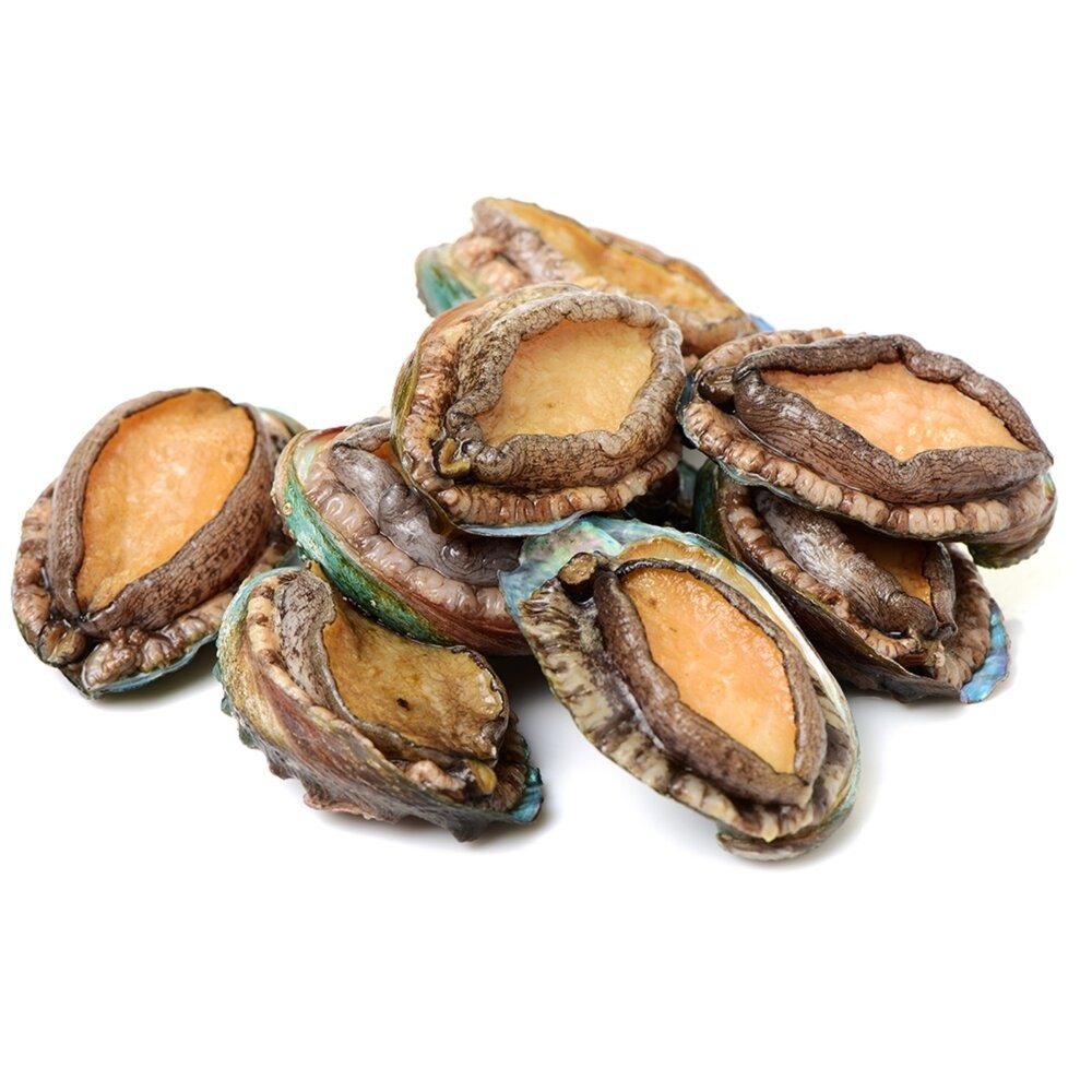鮮凍半殼九孔鮑魚(1kg±10%/30粒)【天天鮮配】滿額免運-細節圖2