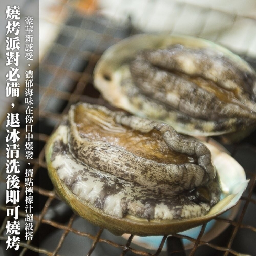 鮮凍2XL半殼九孔鮑魚(1kg±10%/10-12粒)【天天鮮配】滿額免運-細節圖4