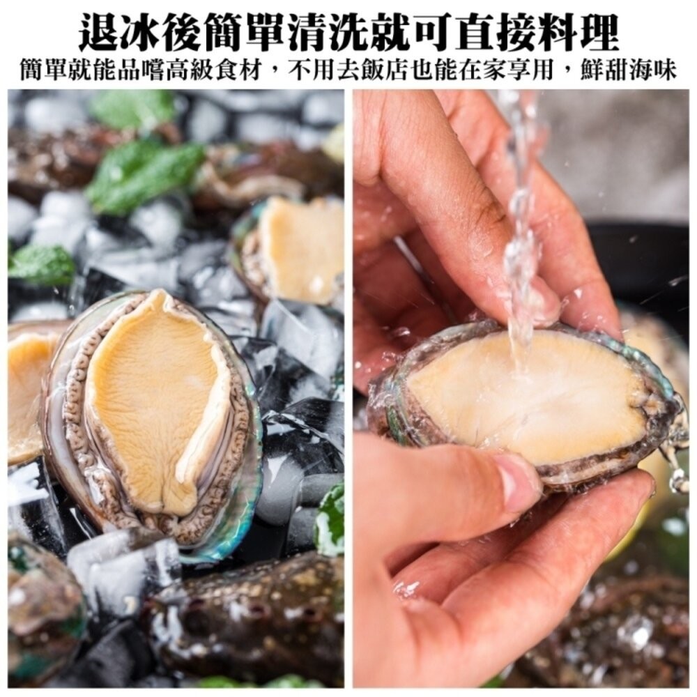 鮮凍2XL半殼九孔鮑魚(1kg±10%/10-12粒)【天天鮮配】滿額免運-細節圖7