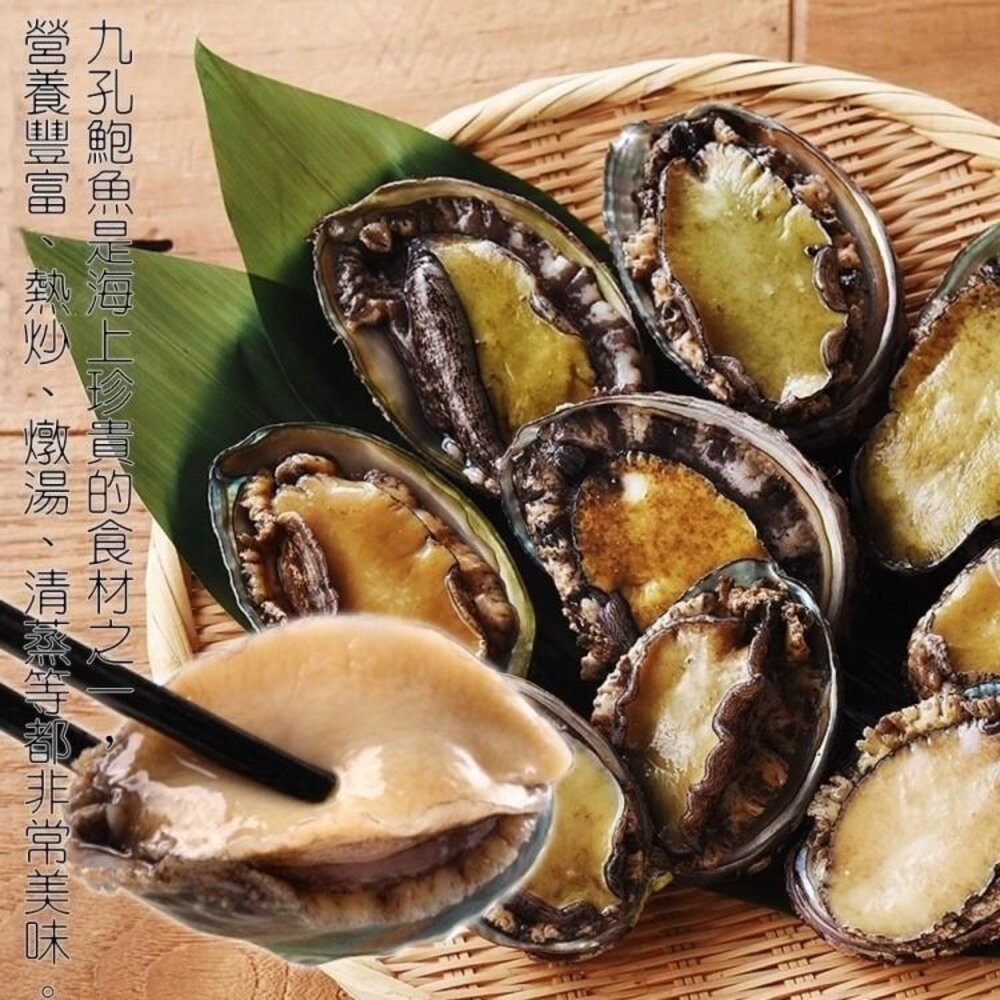 鮮凍2XL半殼九孔鮑魚(1kg±10%/10-12粒)【天天鮮配】滿額免運-細節圖8