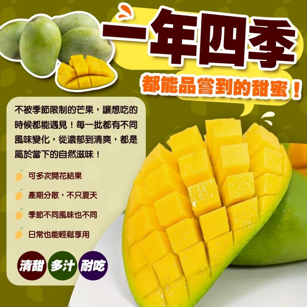 嚴選四季芒果10斤±10%含箱 0運費【果之蔬】-細節圖3