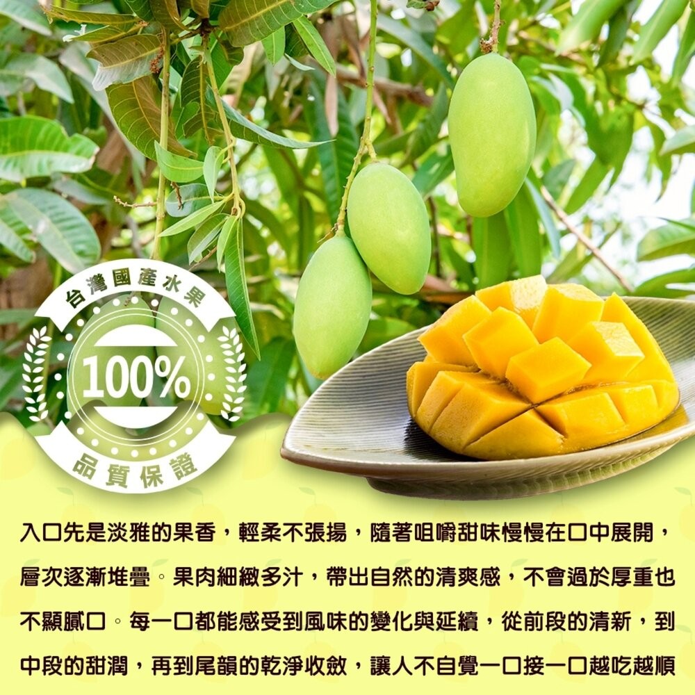 嚴選四季芒果10斤±10%含箱 0運費【果之蔬】-細節圖4