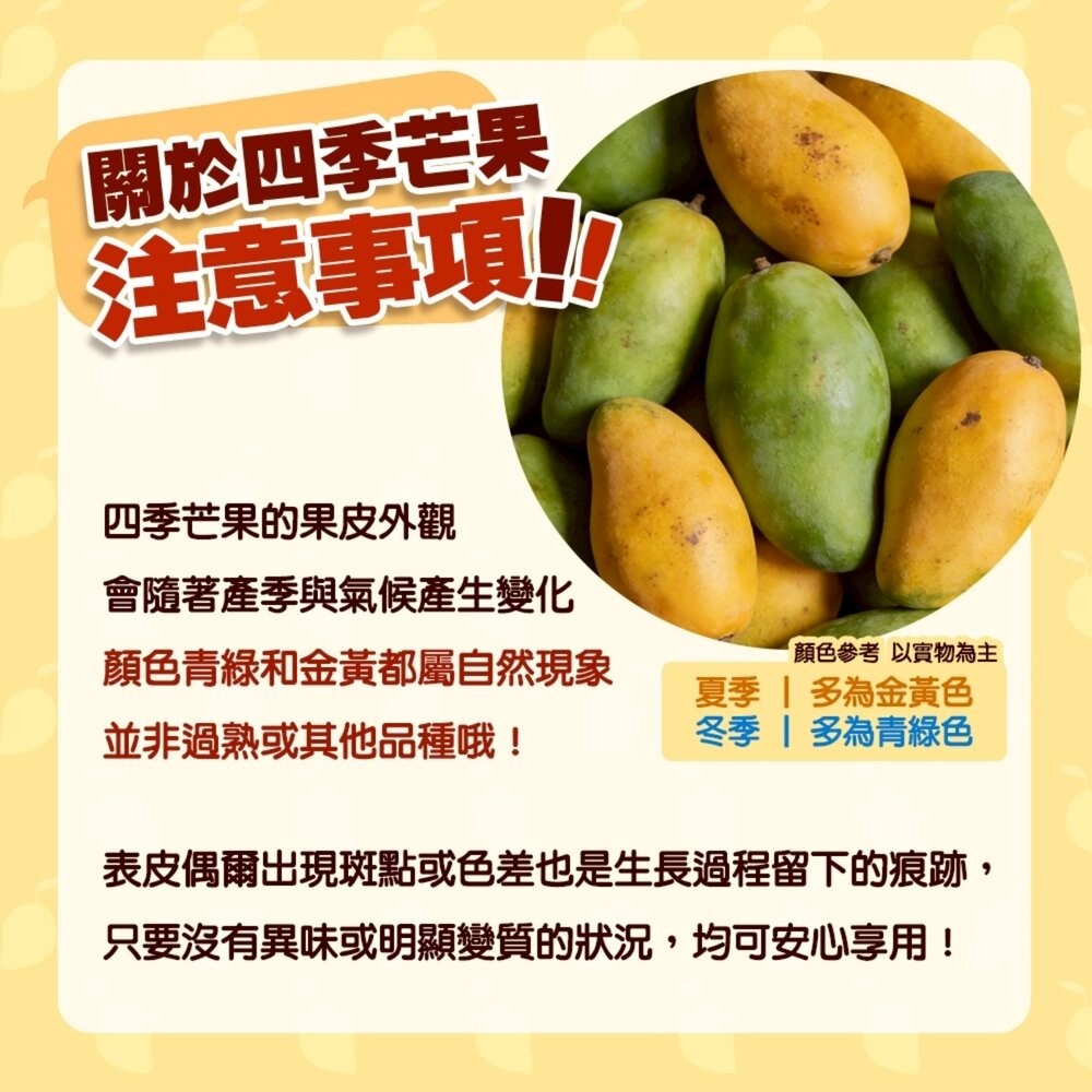 嚴選四季芒果10斤±10%含箱 0運費【果之蔬】-細節圖7
