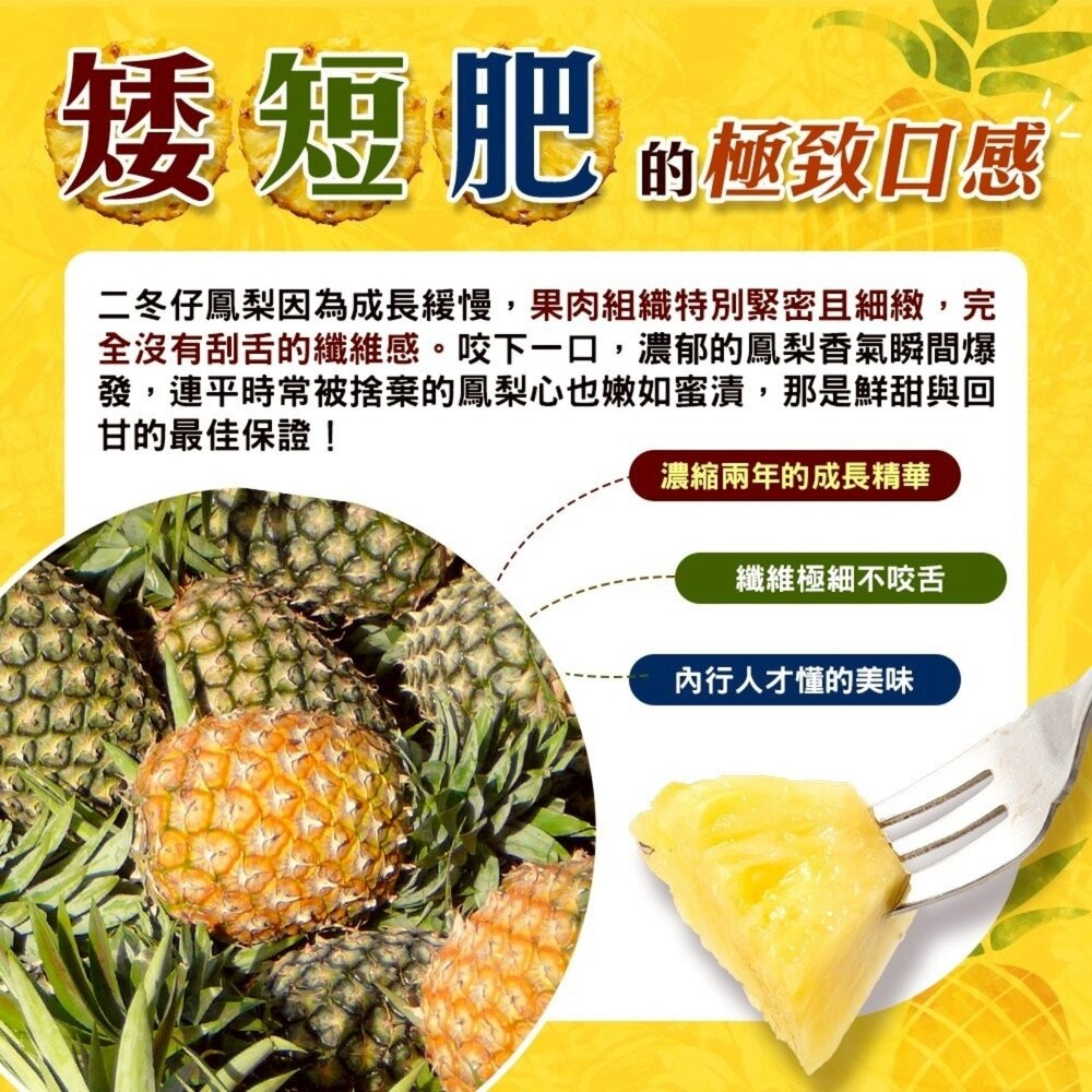 台灣二冬仔鳳梨15斤±10%含箱重 0運費【果農直配】-細節圖4