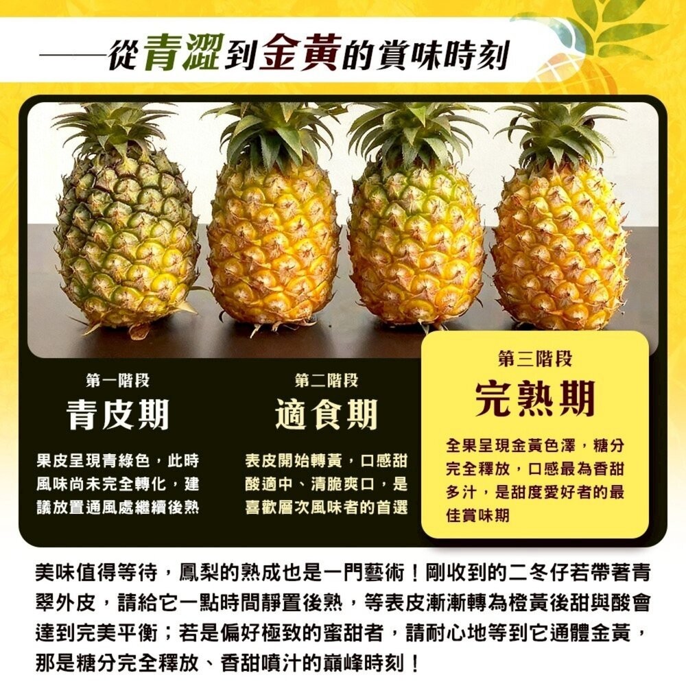 台灣二冬仔鳳梨15斤±10%含箱重 0運費【果農直配】-細節圖6