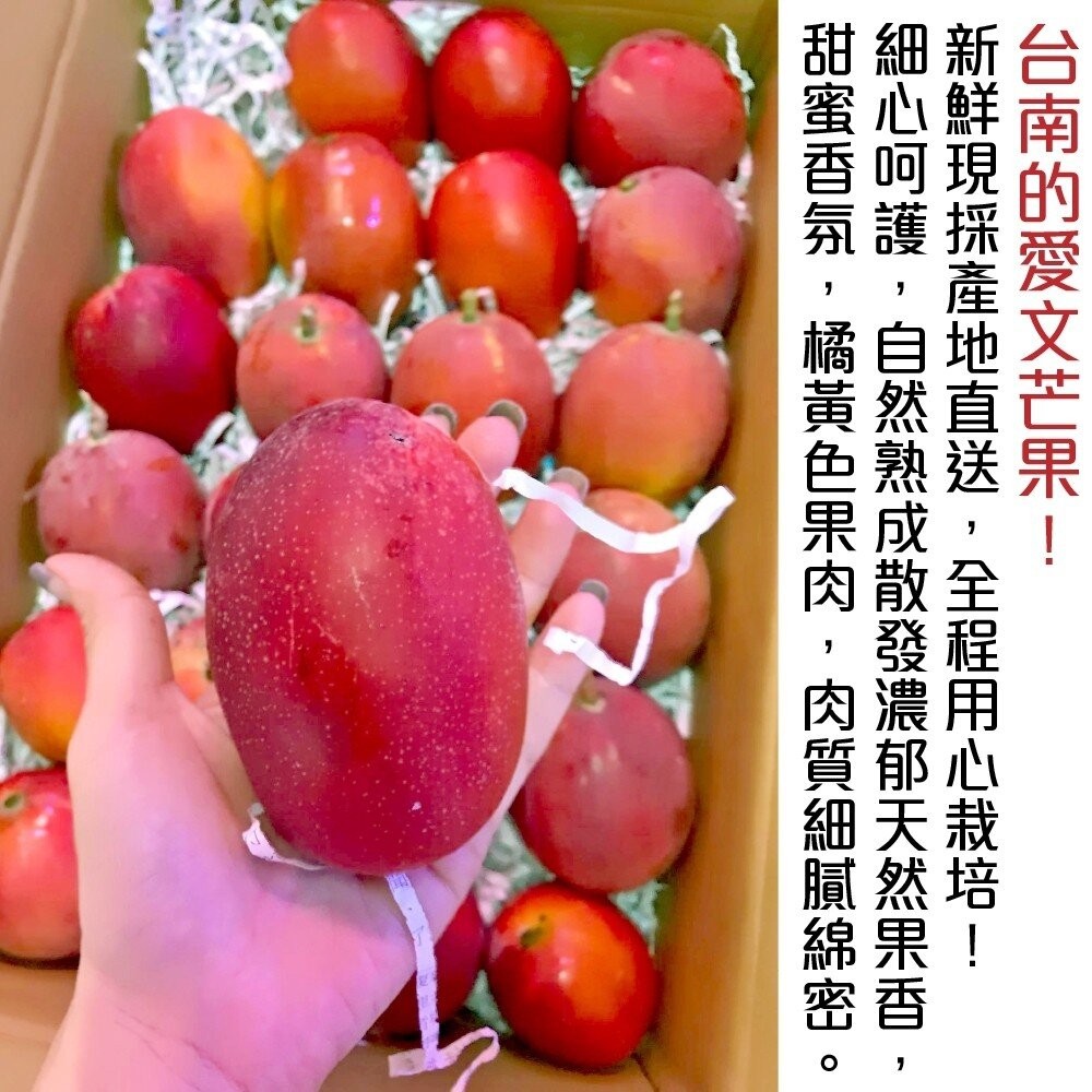 台南愛文芒果10斤±10%含箱 0運費【果之蔬】-細節圖3