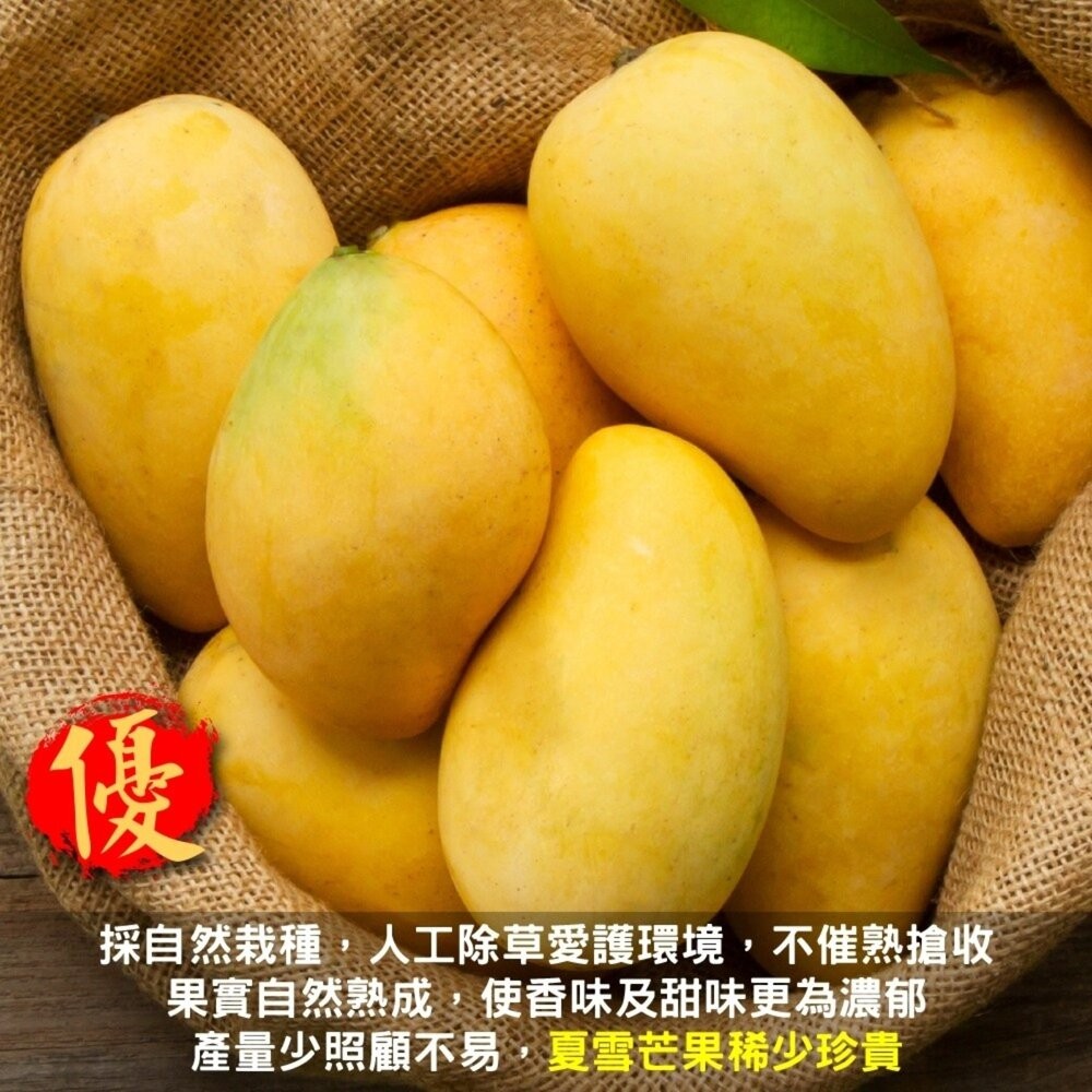 外銷等級台灣夏雪芒果10斤±10%含箱 0運費【果農直配】-細節圖5