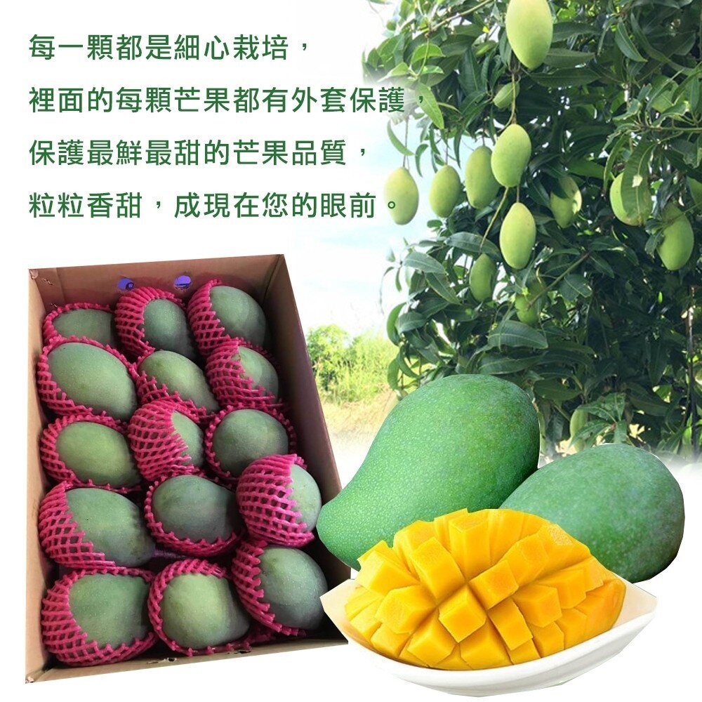 帝王級黑香芒果 0運費【果之蔬】-細節圖4